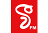 V FM Radio